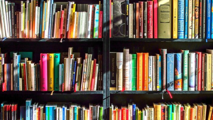 Bookcase Zoom background - download free virtual backgrounds