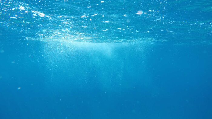 underwater zoom background