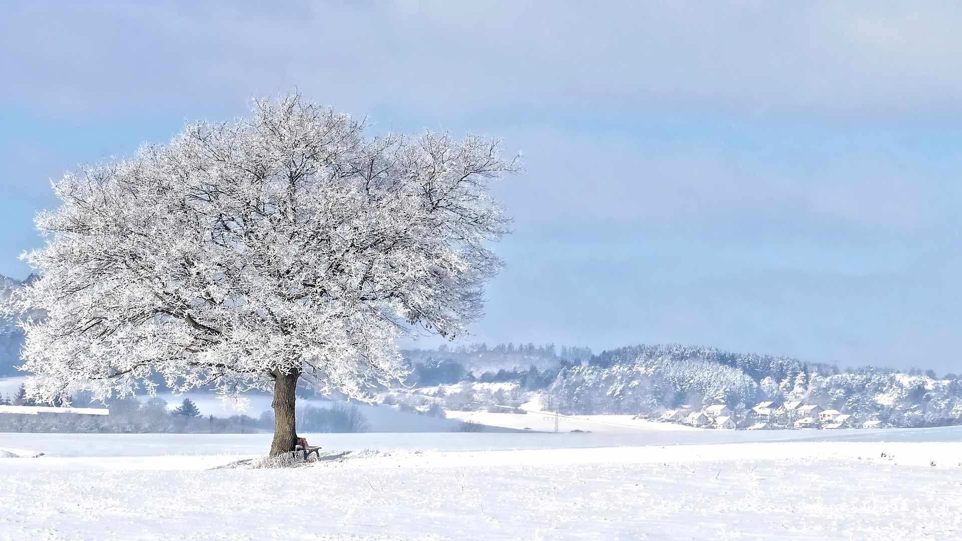 Winter background Zoom