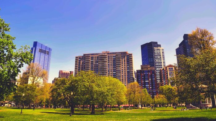 boston zoom background skyline