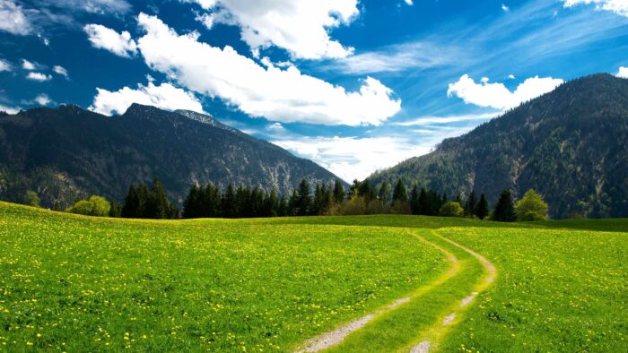 outdoor zoom virtual backgrounds summer green mountain path background